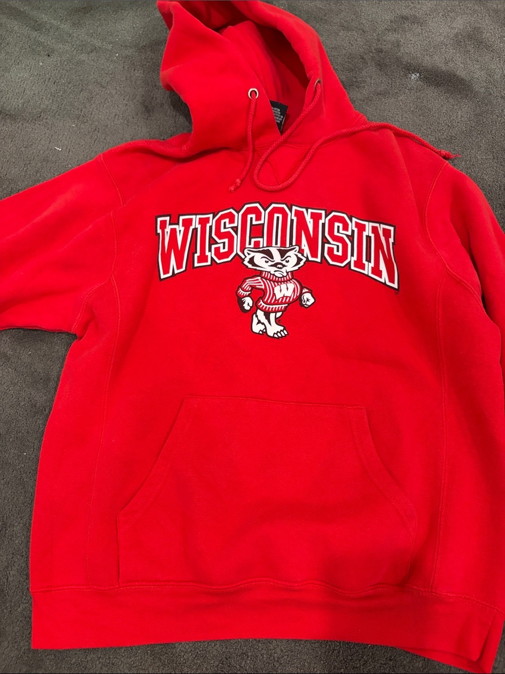 Wisconsin hoodie